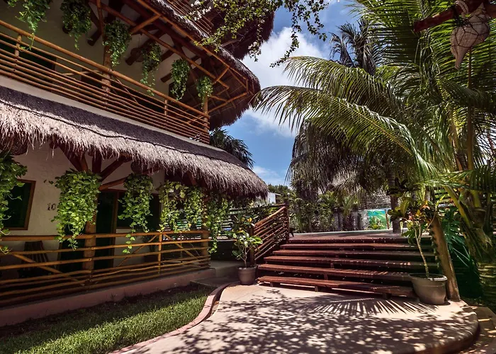 La Palma Holbox
