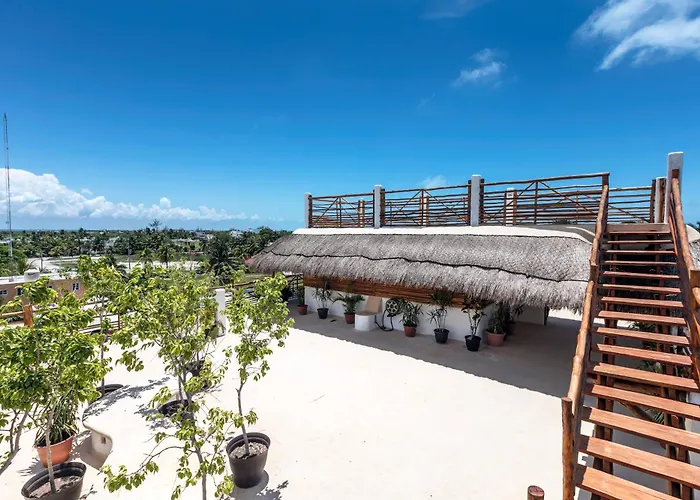 La Palma Holbox