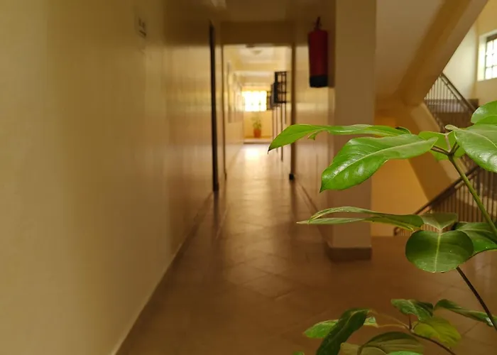Roza Guest House