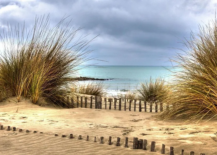 Hotel Le Dauphin Bleu