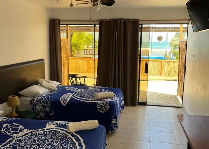 Aloha Lobitos