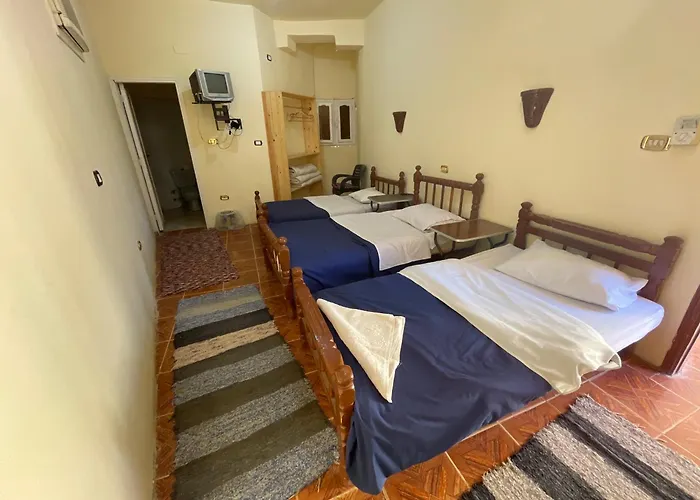 Ahmed Safari Camp