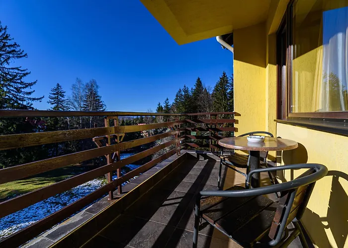 Hotel Casa Viorel Jacuzzi & Saunas