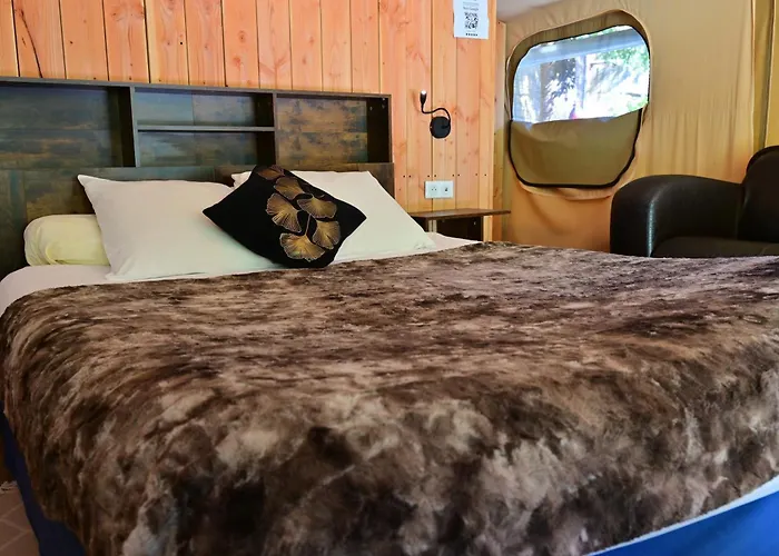 Prehistoric Lodge - Adult Only