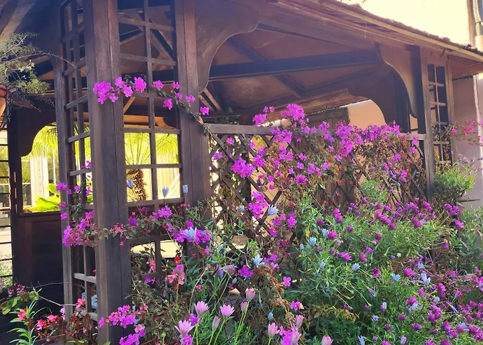 Hotel Des Neiges