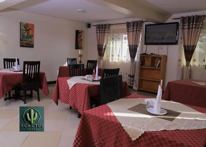Acactus Hotel