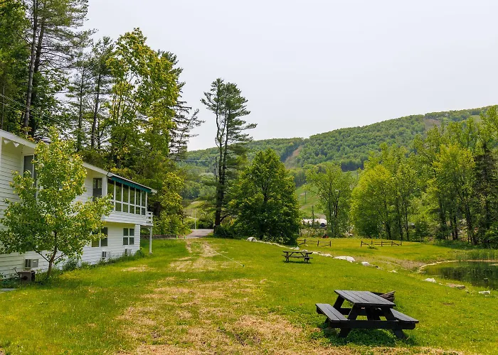 The Cozy Cat Motel At Catamount