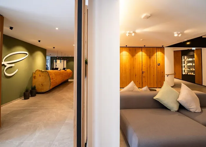 Hotel Erlebach 4
