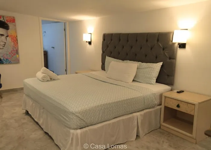 Casa Lomas
