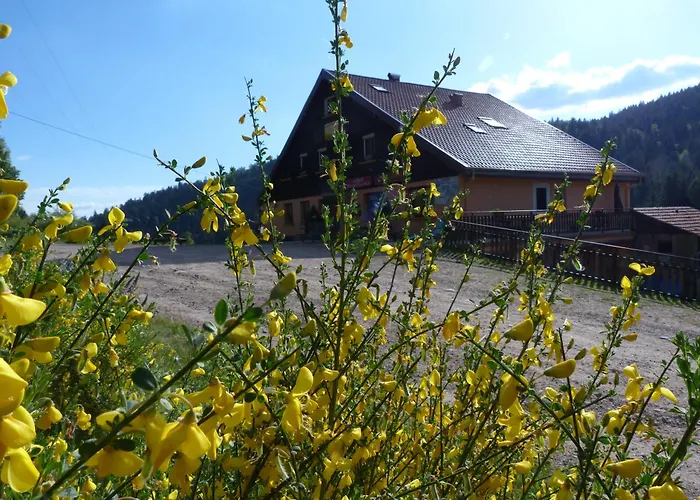 Auberge Des Hauts Viaux
