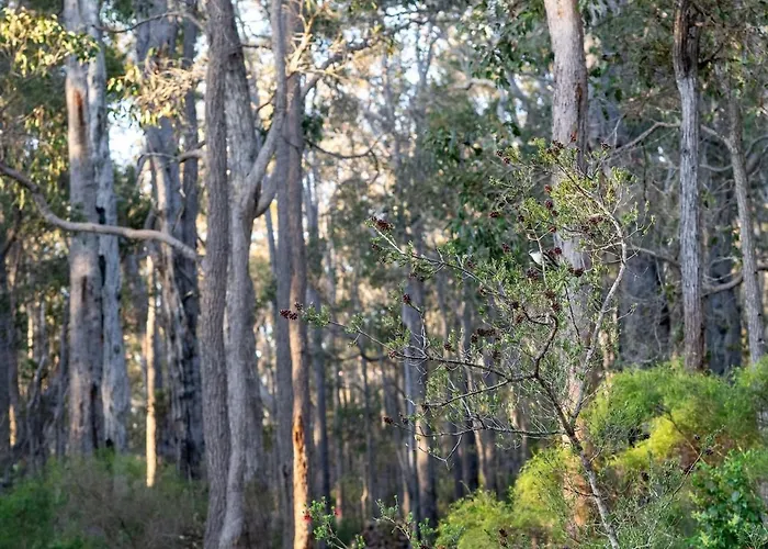 Jarrah Grove Forest Retreat - Adults Only Luxury Chalet