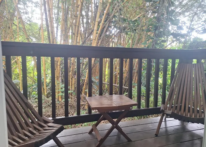 Wild Ginger Hotel