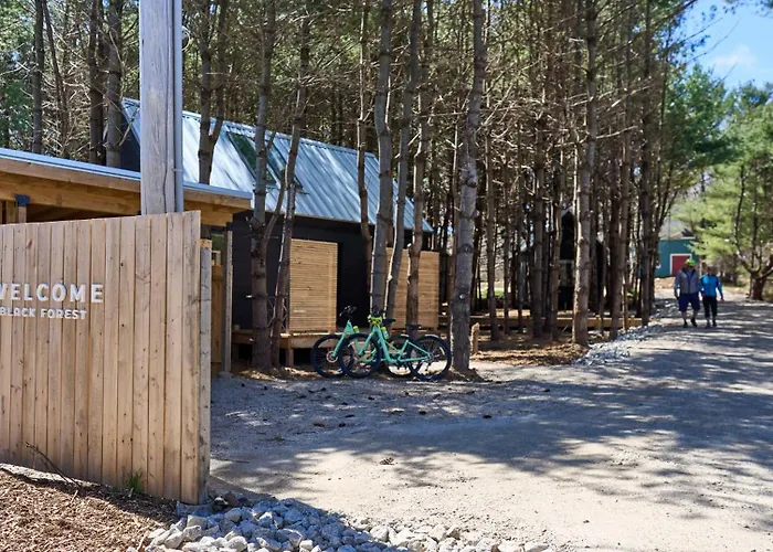 Black Forest Cabins