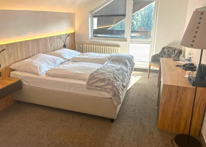 Wellness Hotel Svornost