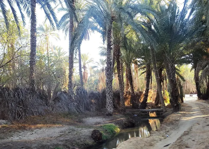 Dar Saida Beya