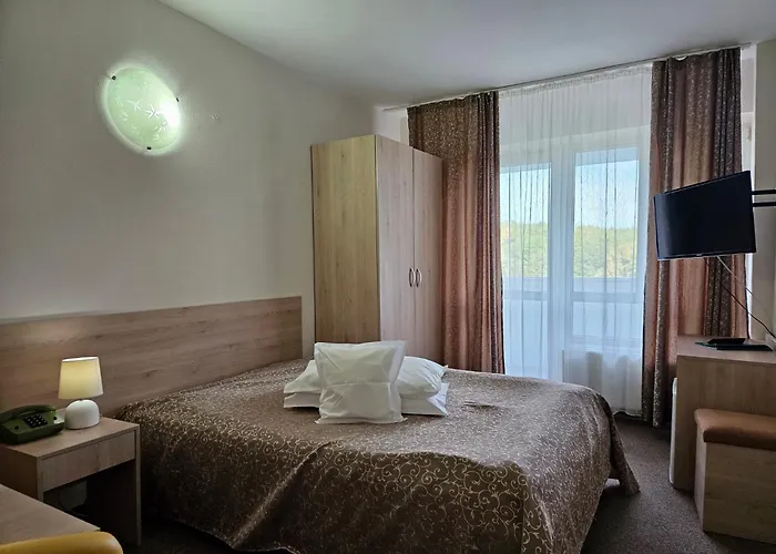 Hotel Mures