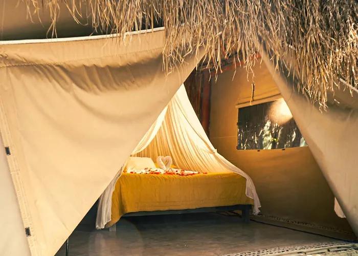 Akumal Natura Glamping