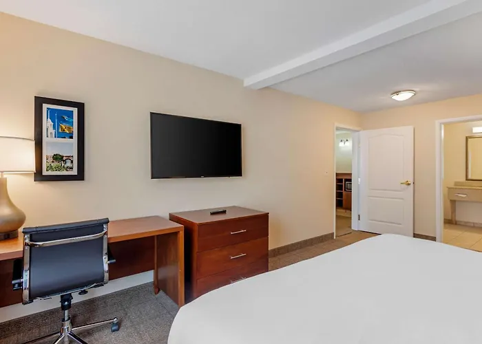 Comfort Inn & Suites Dover Near Speedway