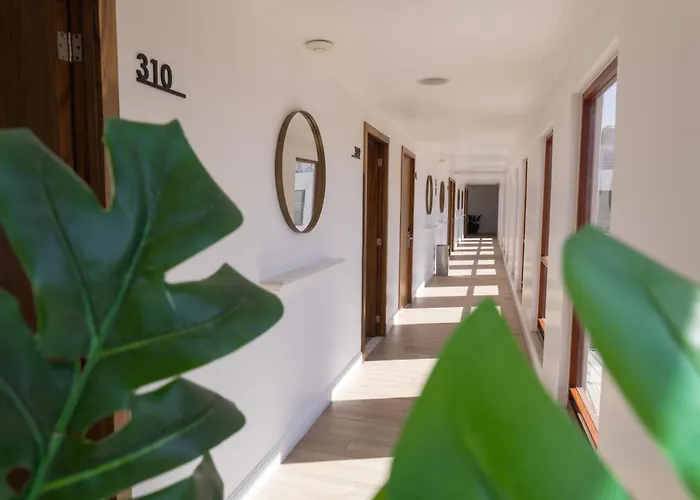 Six Hotel Guadalajara Degollado