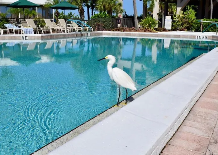 Caribbean Beach Club