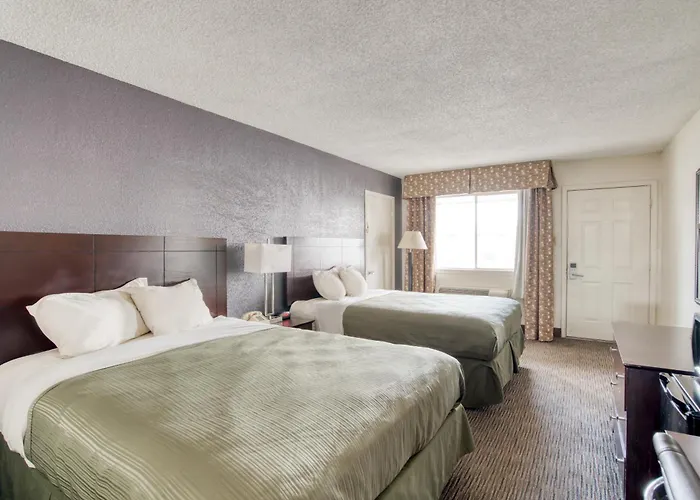 Oyo Hotel Alexandria La- Hwy 165