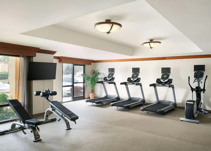 Springhill Suites By Marriott Tampa Westshore Airport