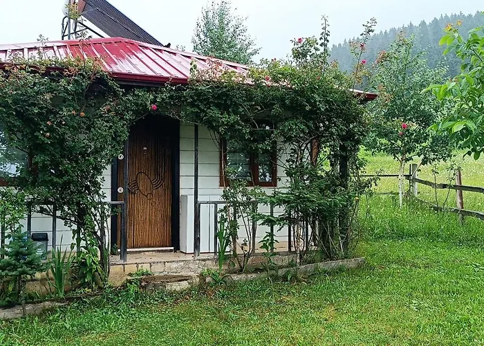 Yavuzyilmaz Tesisleri