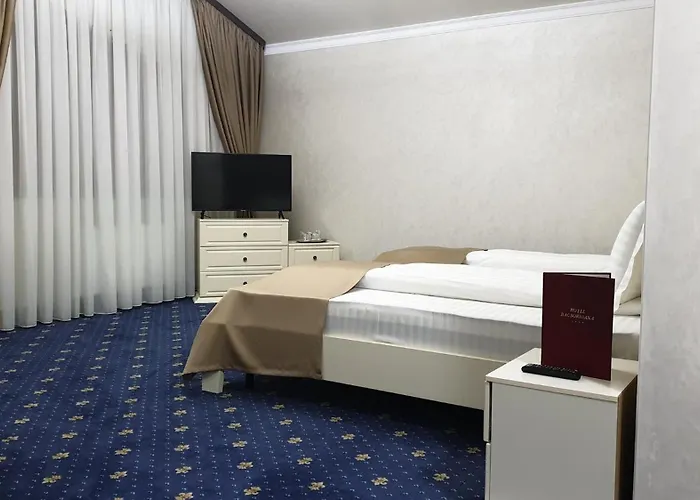 Hotel Bacsoridana