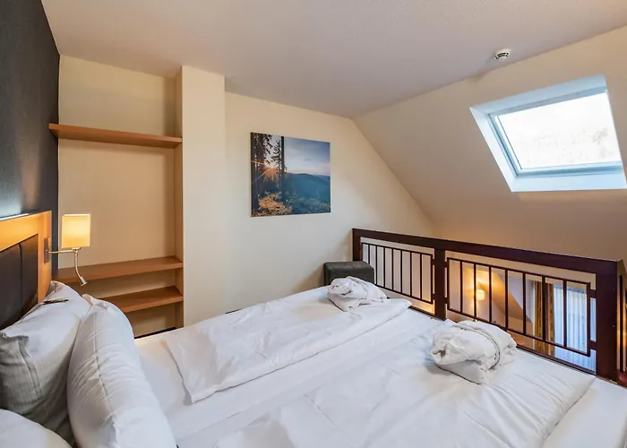 Goebel'S Seehotel Diemelsee