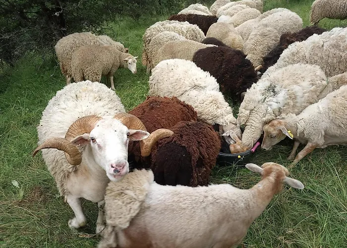 La ferme des Cévennes