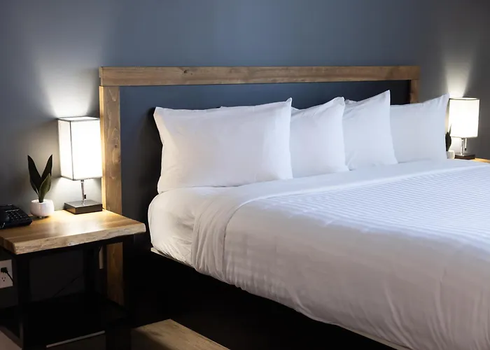 Motel Napoléon