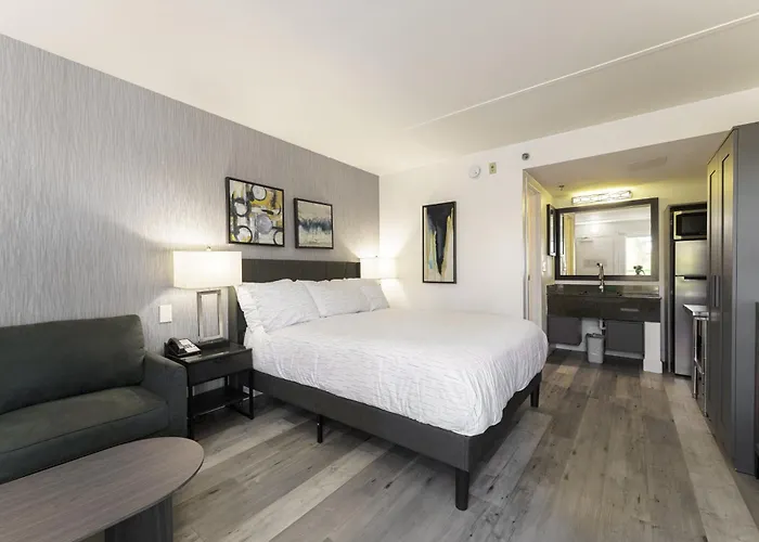 Studio Apt In North Scottsdale