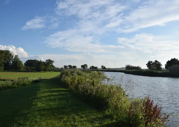 Zwier, de Vrijhaven