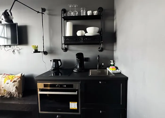 Urban Reykjavik Studios By Heimaleiga