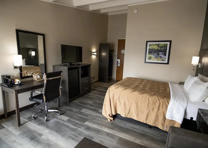 Quality Inn & Suites Danbury Near University