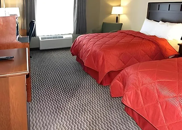 Comfort Inn & Suites