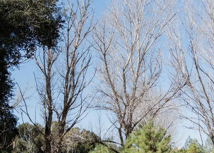 Rancho Santa Veronica