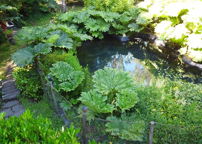 Pucon Volcano Forest Spa