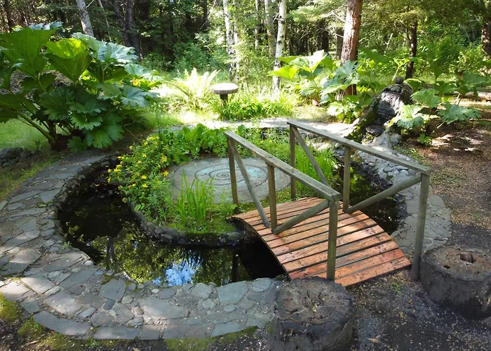 Pucón Volcano Forest SPA