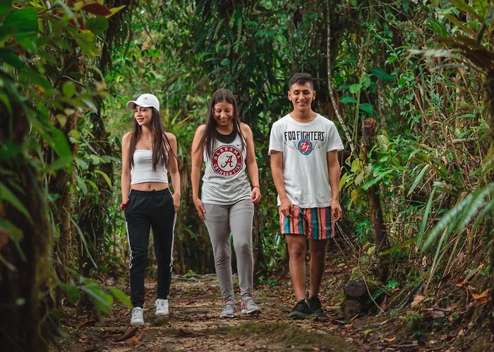 Eco Arazzá