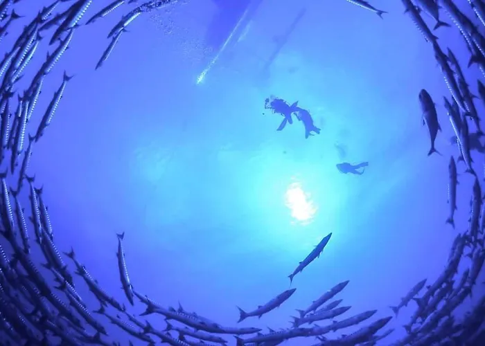 Reef Haven