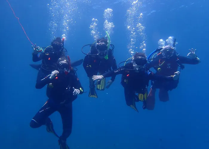 Reef Haven