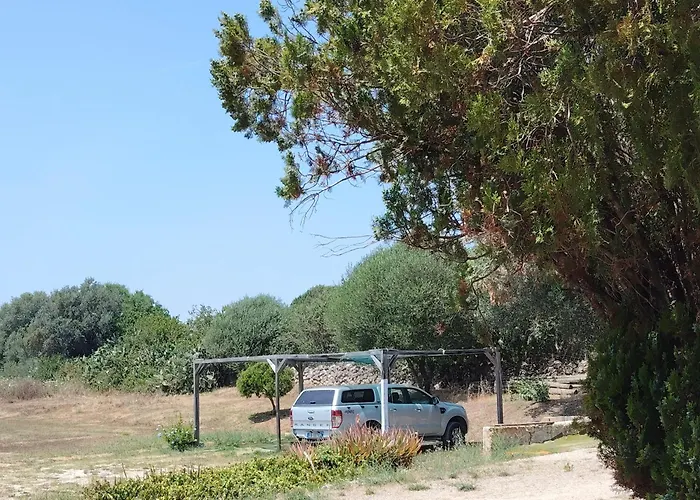 El Matorral