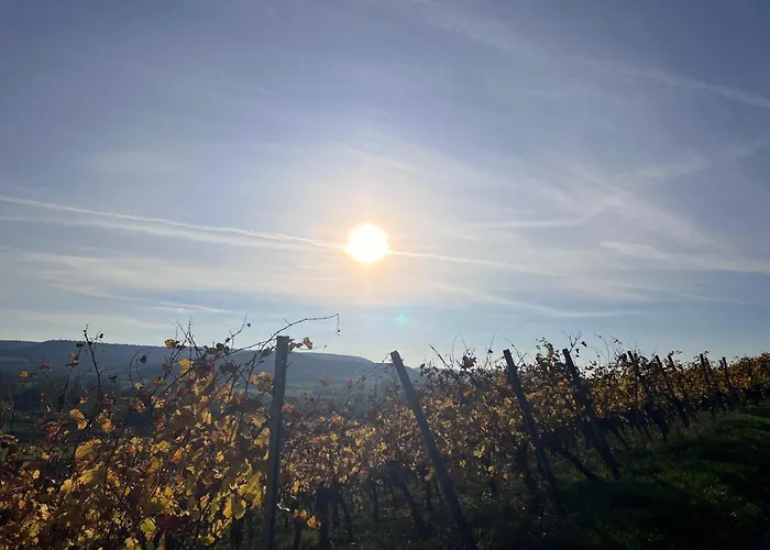 Alte Rose Gasthaus