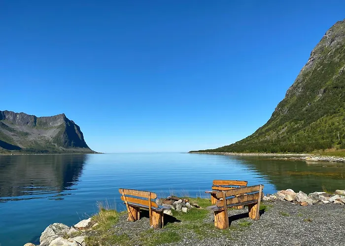 Northern Light Hotell/Camp Steinfjord