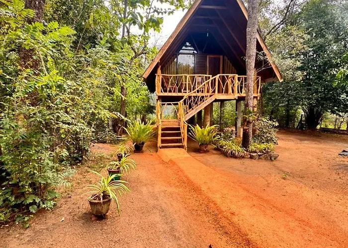 The Mango Garden
