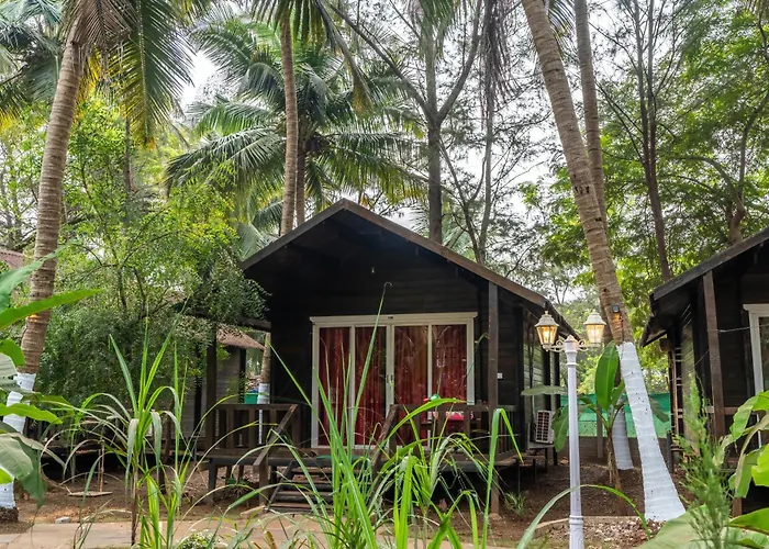 The Exotica Agonda