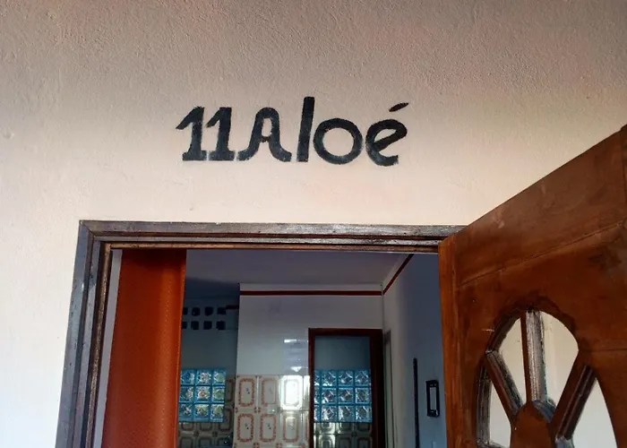 Aloé&Rosette