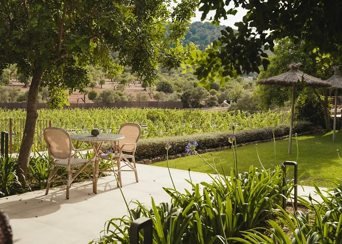 Rondaia, A Winery & Fincahotel-Agroturismo In Tramuntana
