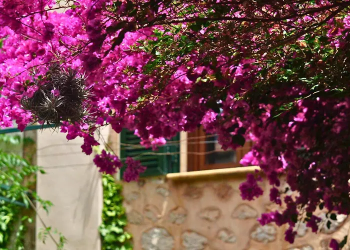 Casa Bougainvillea